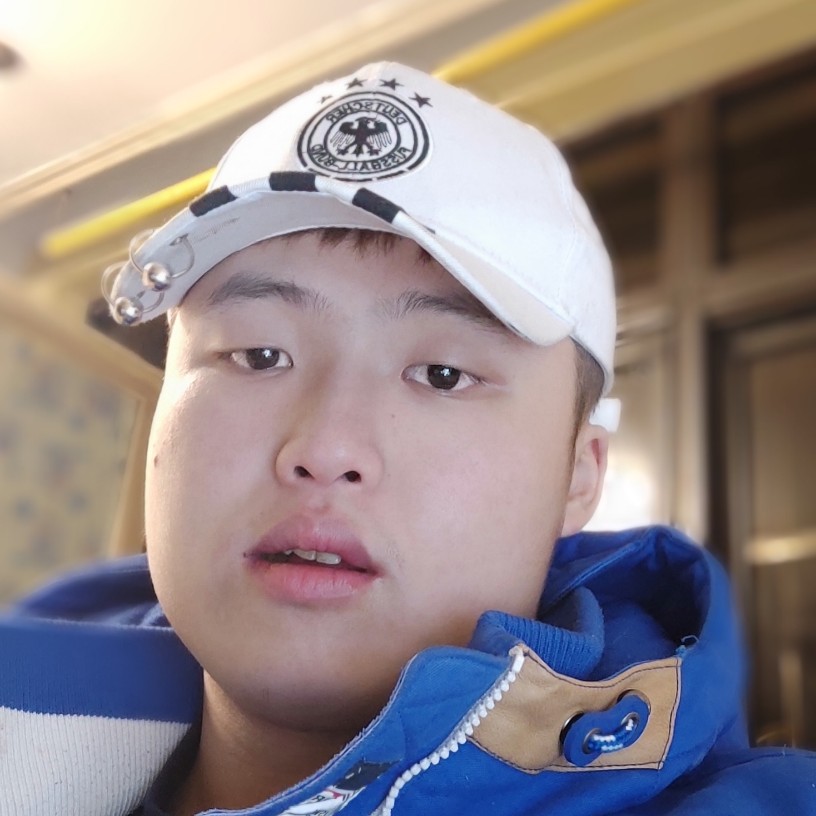 专一向日葵的照片