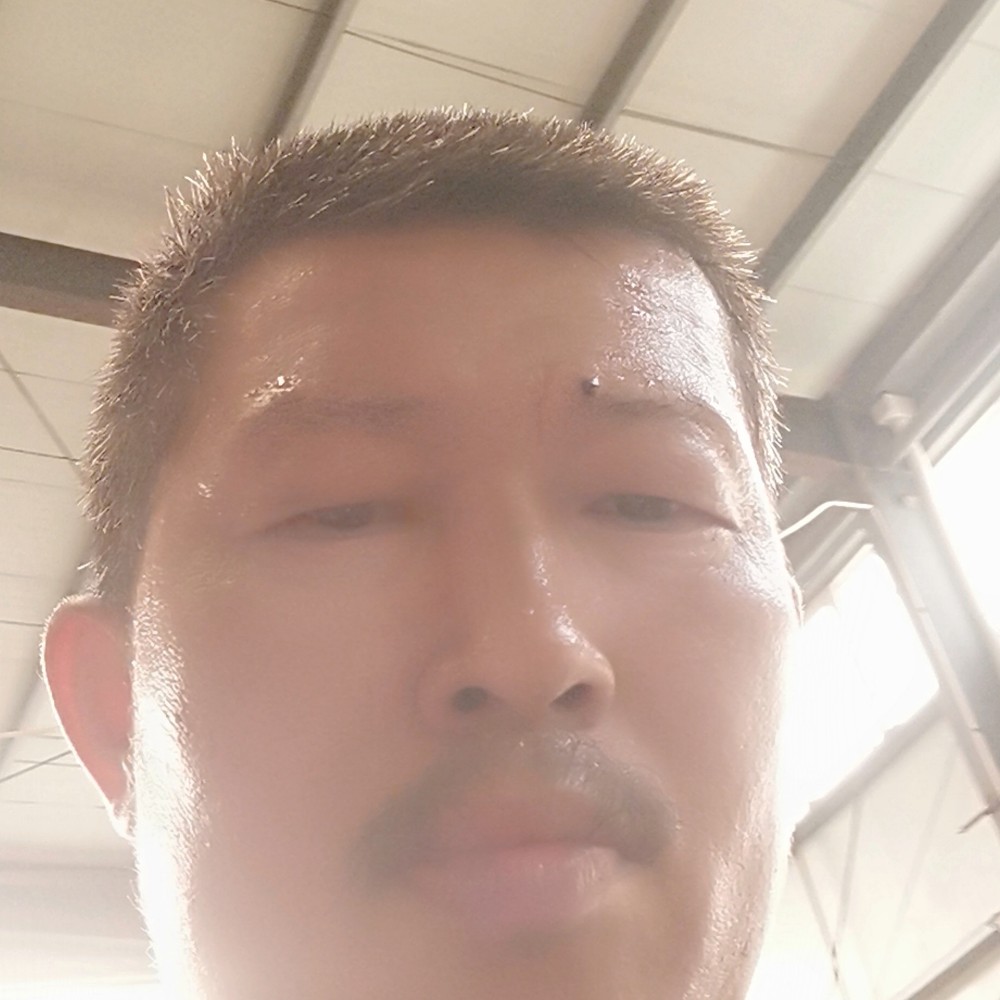 细心邂逅蜜蜂的照片