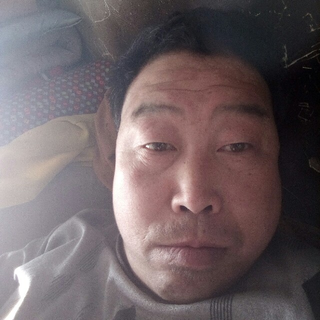 日记本端庄的照片