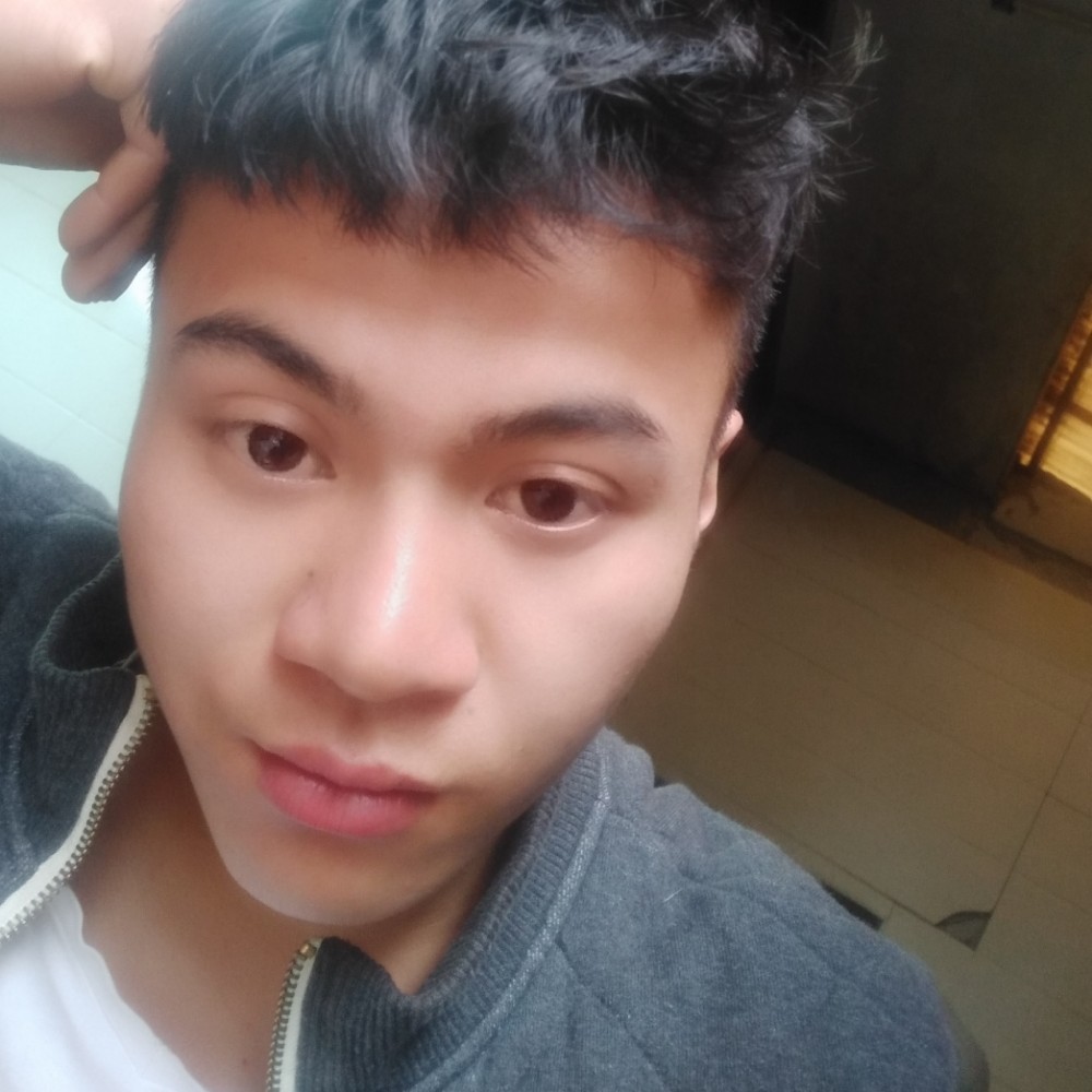 鲤鱼爱恋晨曦的照片