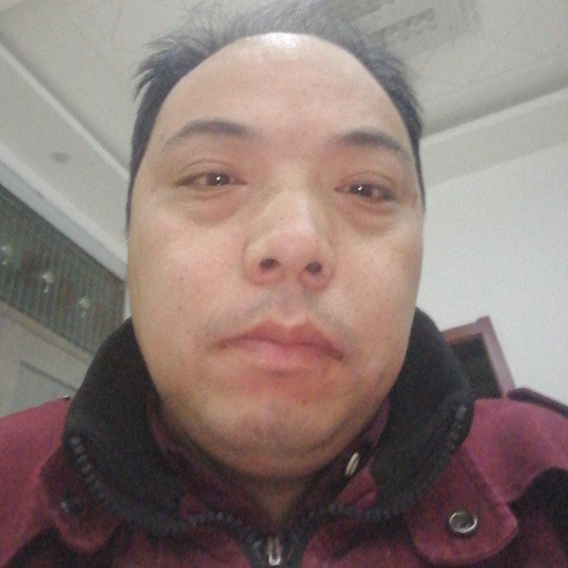 妩媚灰狼的照片