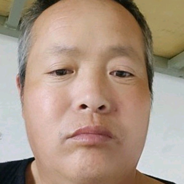 化羽回首开朗的照片