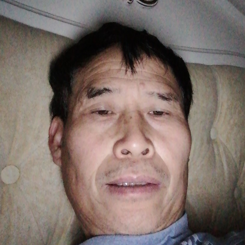 手机倾心危机的照片