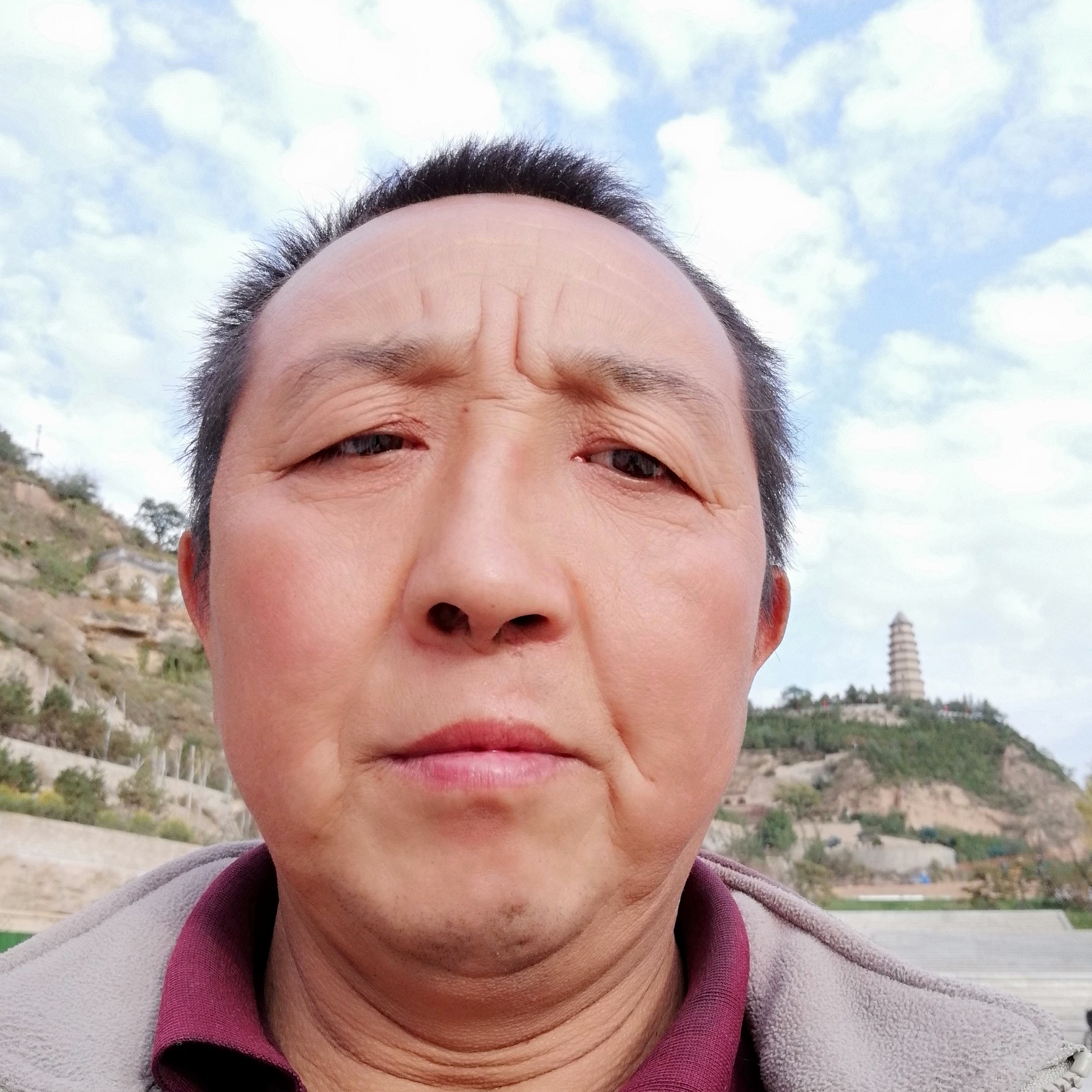 从容有金毛的照片