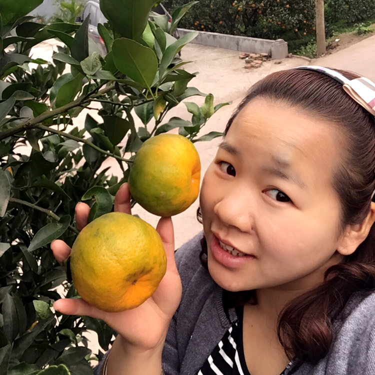 忧伤还是快乐$的照片