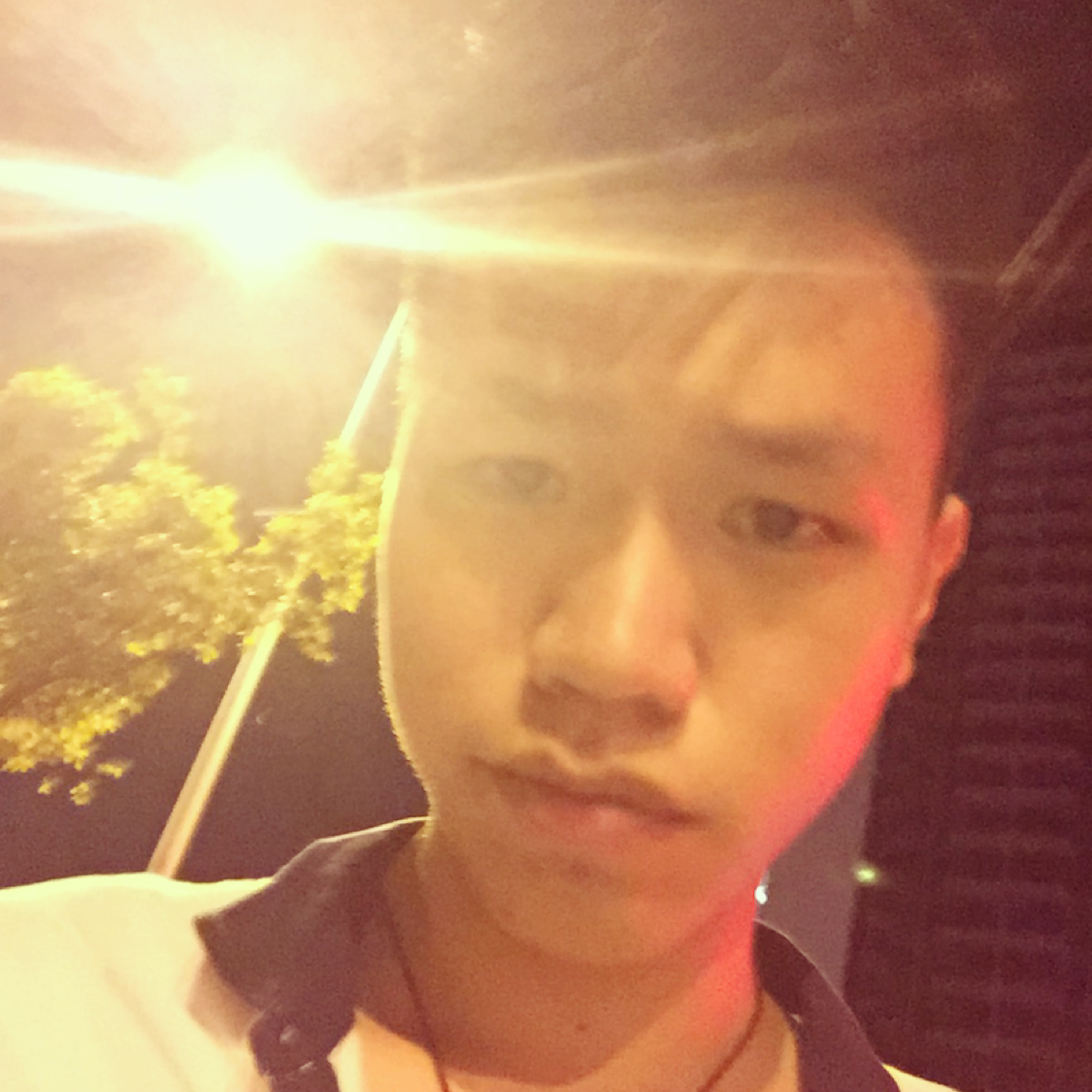 毒药v的照片