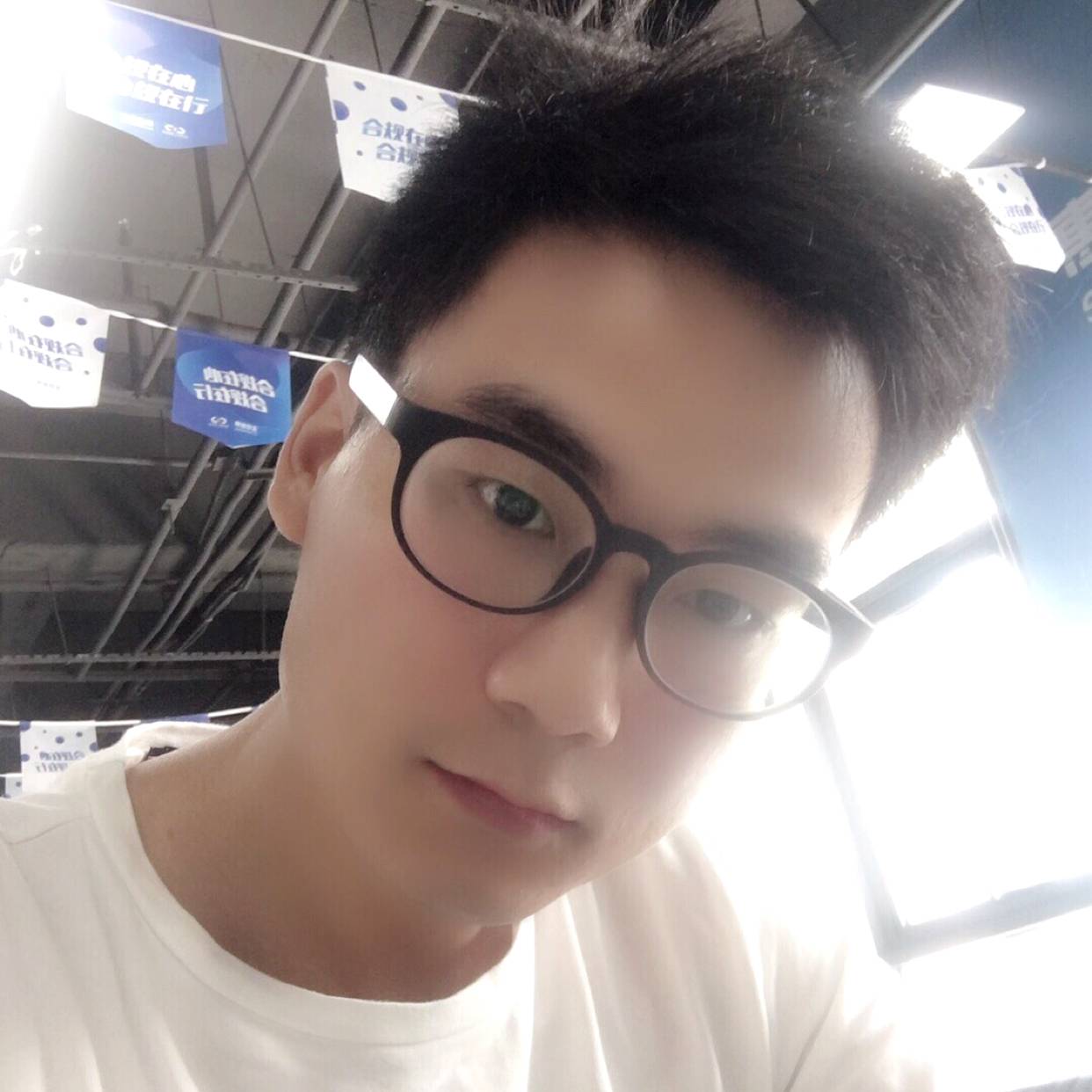 体贴黑猫的照片