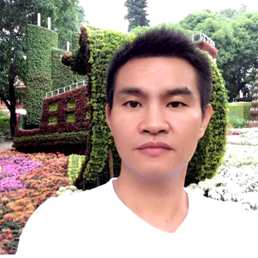 想思苦的照片