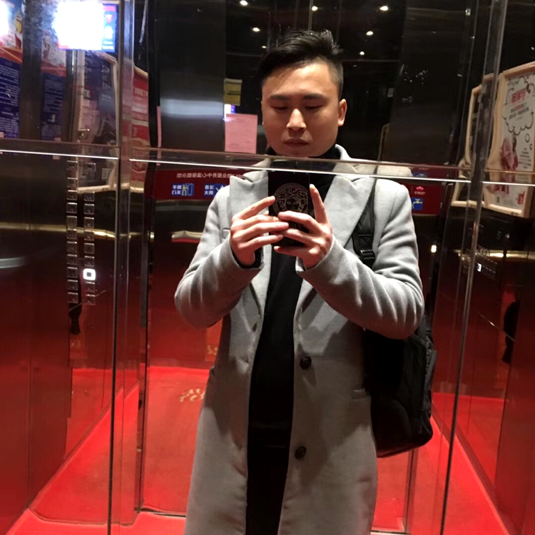 率性的鸵鸟的照片