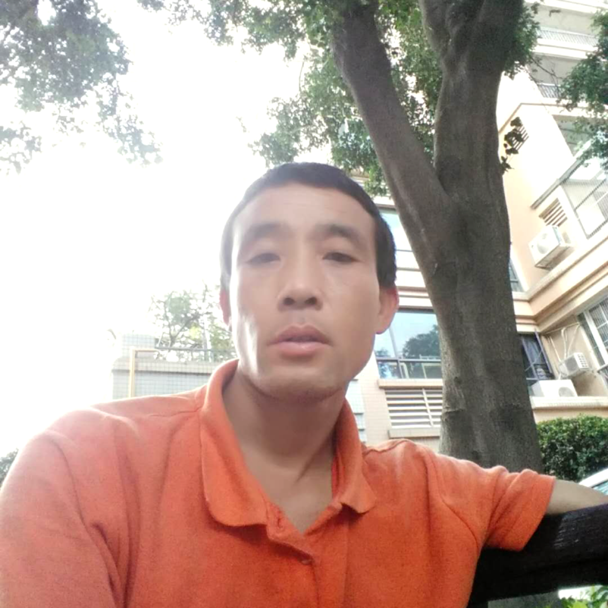 烟火的天空的照片