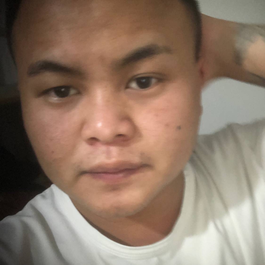 开朗拾忆蘩藜的照片