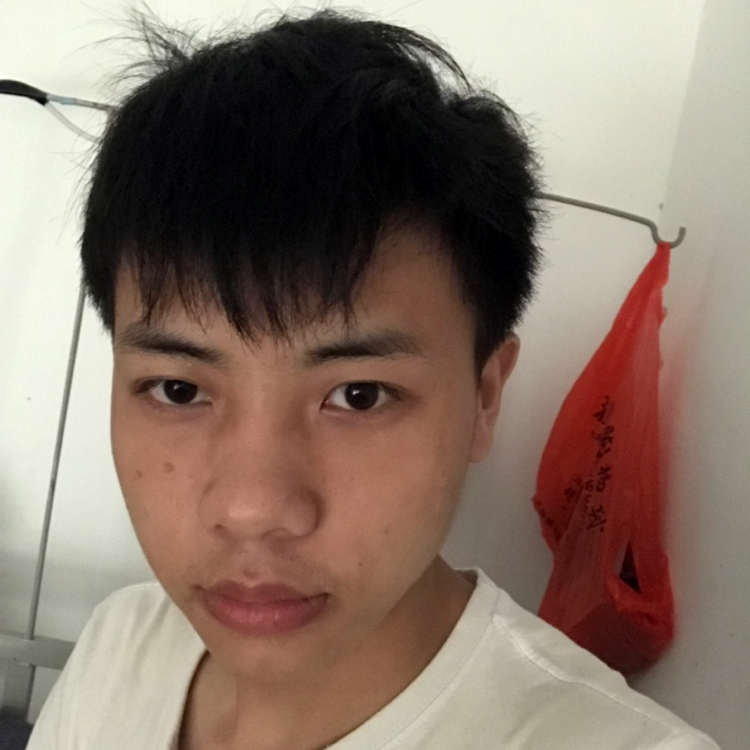风格风的照片