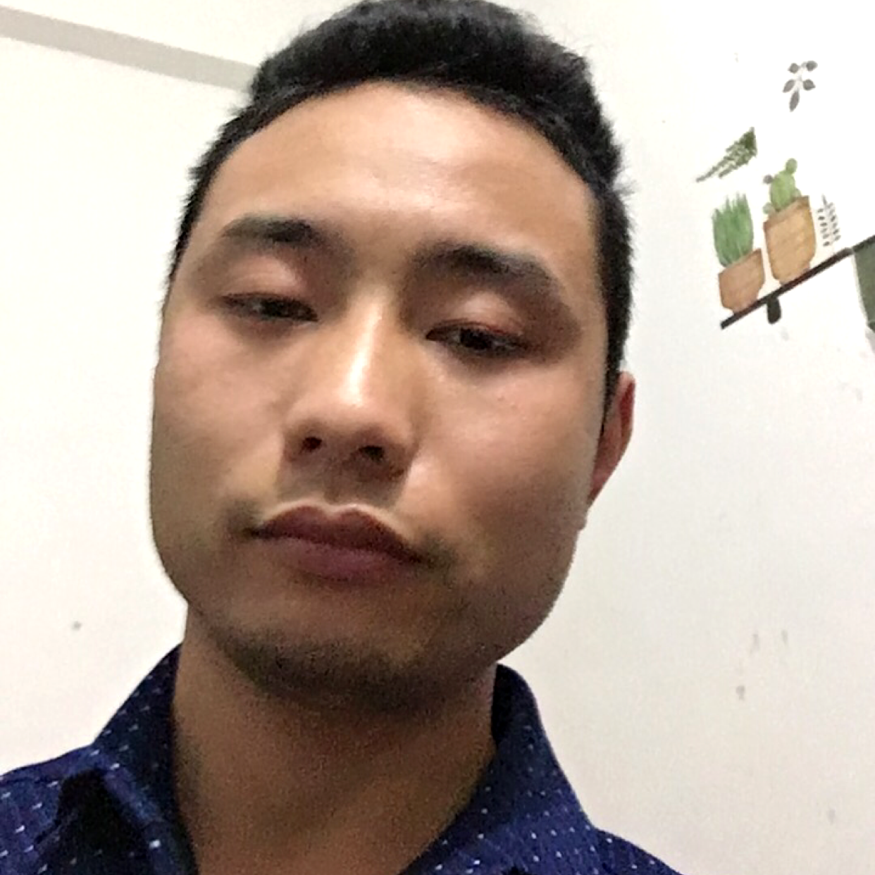 月光請过时的照片
