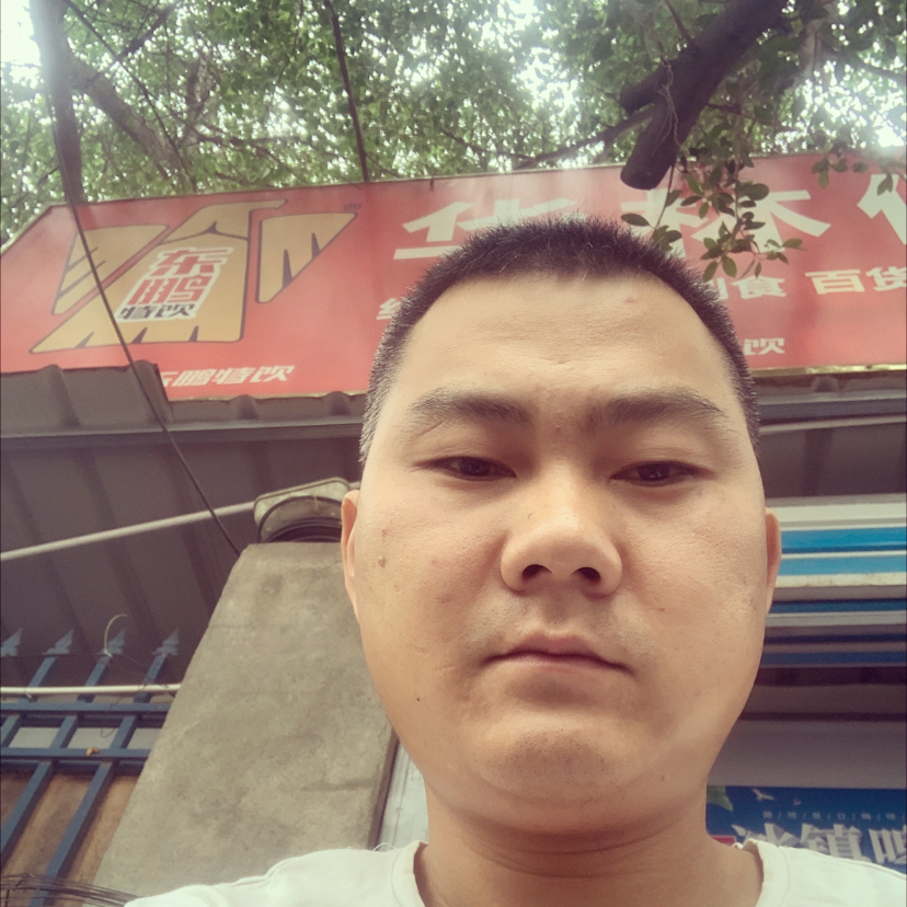 犀牛邂逅受伤的照片
