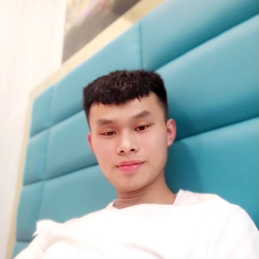 小海豚的照片