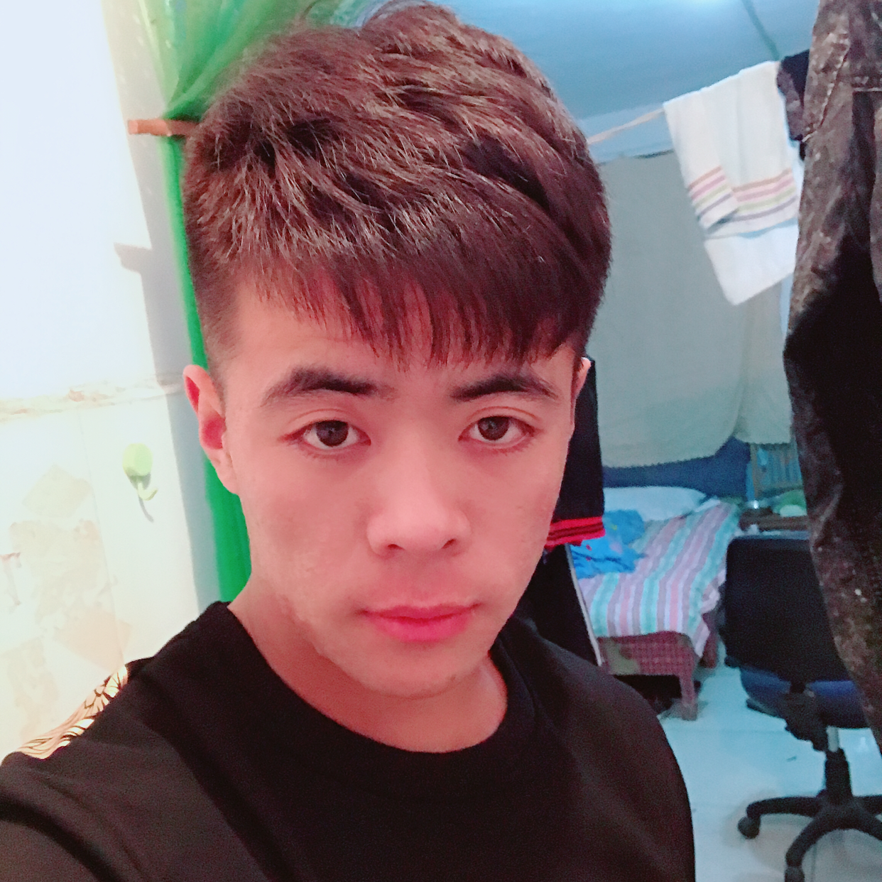 哈喽,你好的照片