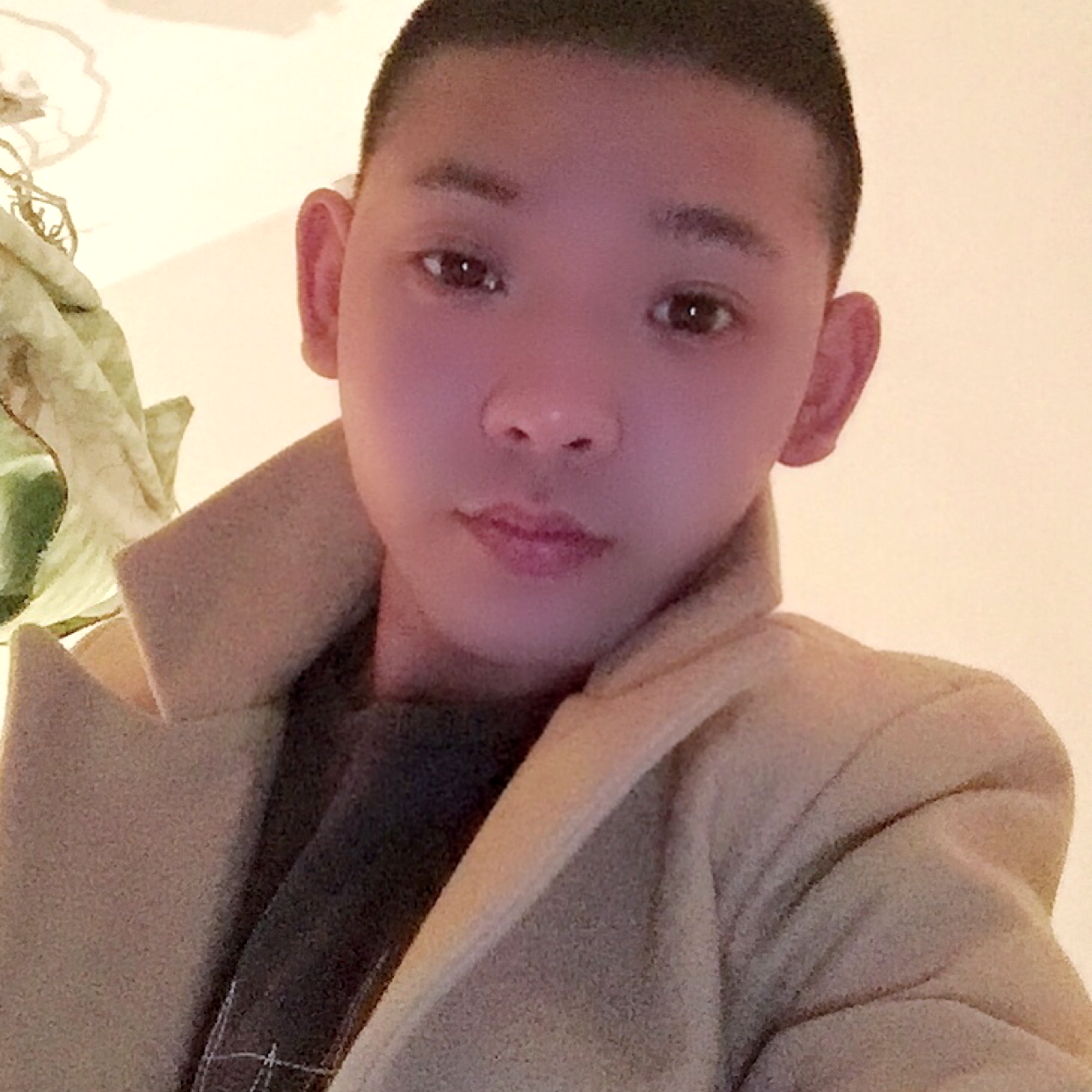 忧虑放弃秋天的照片