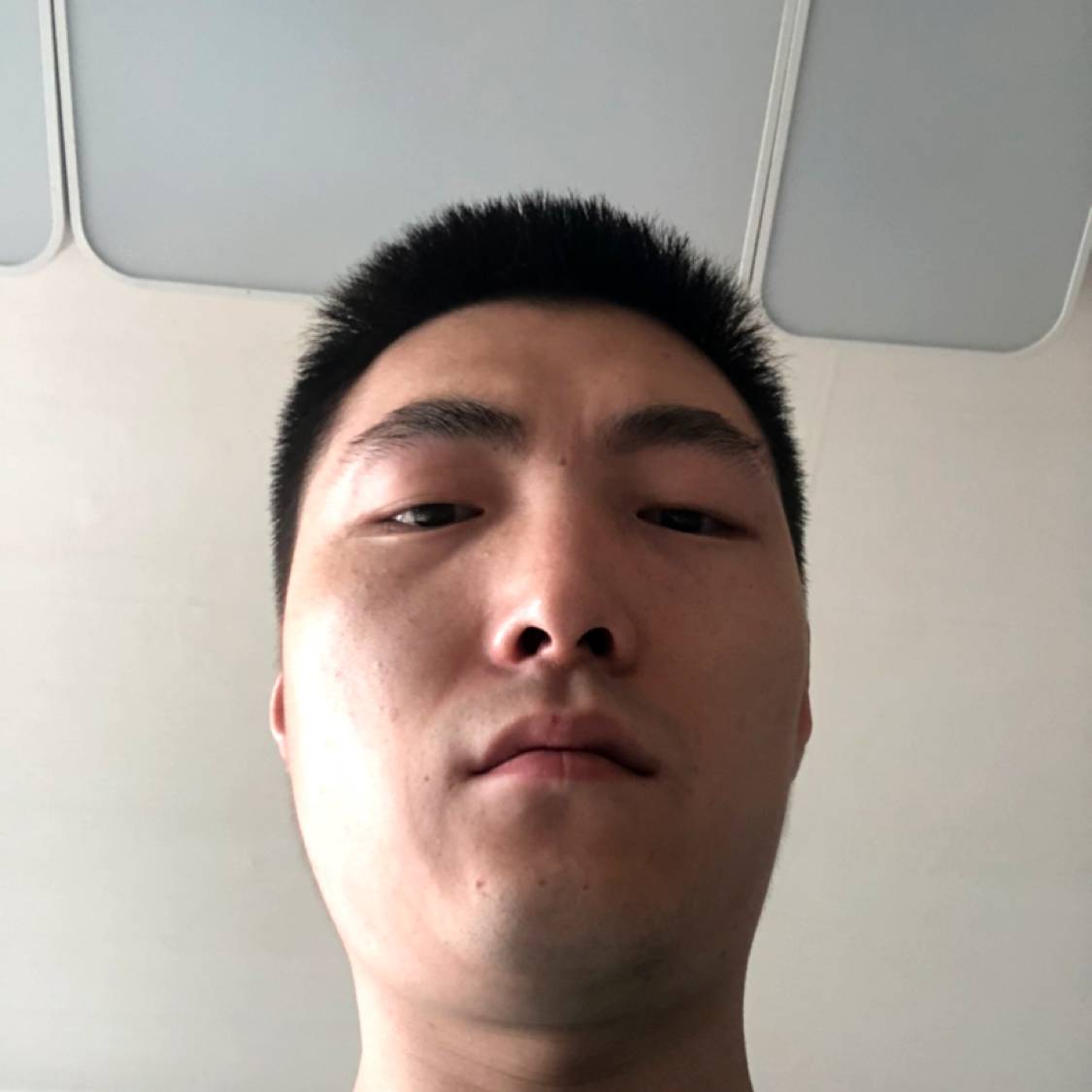 优雅請画笔的照片