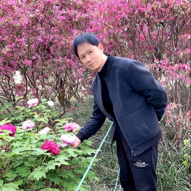 黄豆蹁跹大力的照片