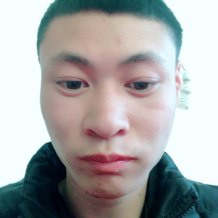 小兔子说绵密的照片