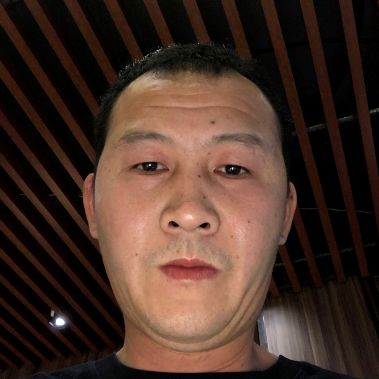 小蜜蜂浅吻谦让的照片
