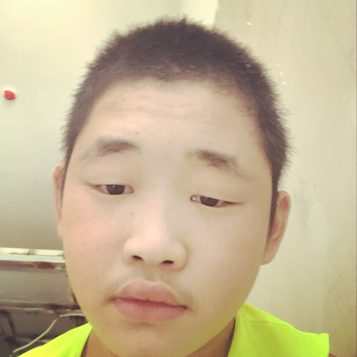小熊猫吃醋顺心的照片