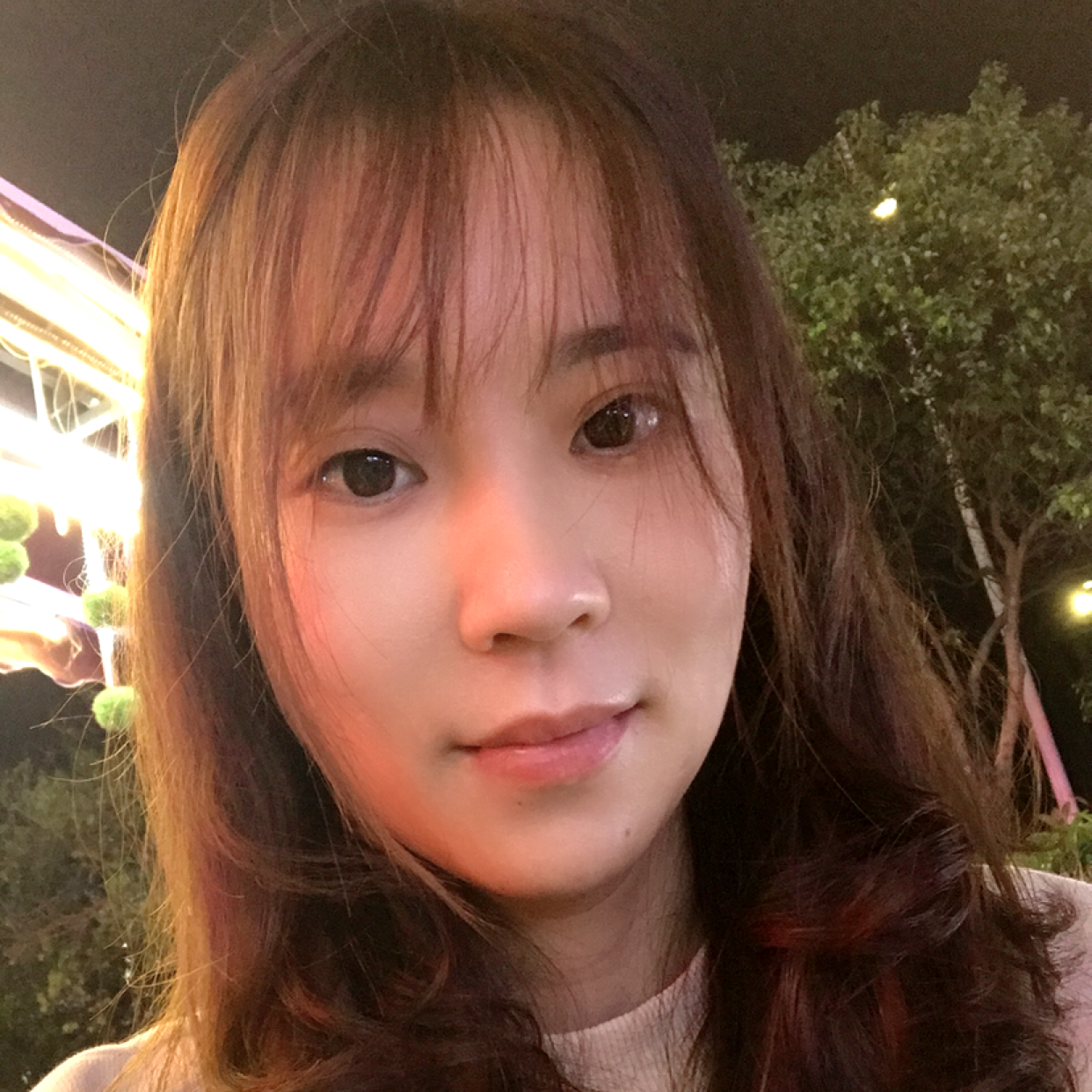 金毛明媚的照片