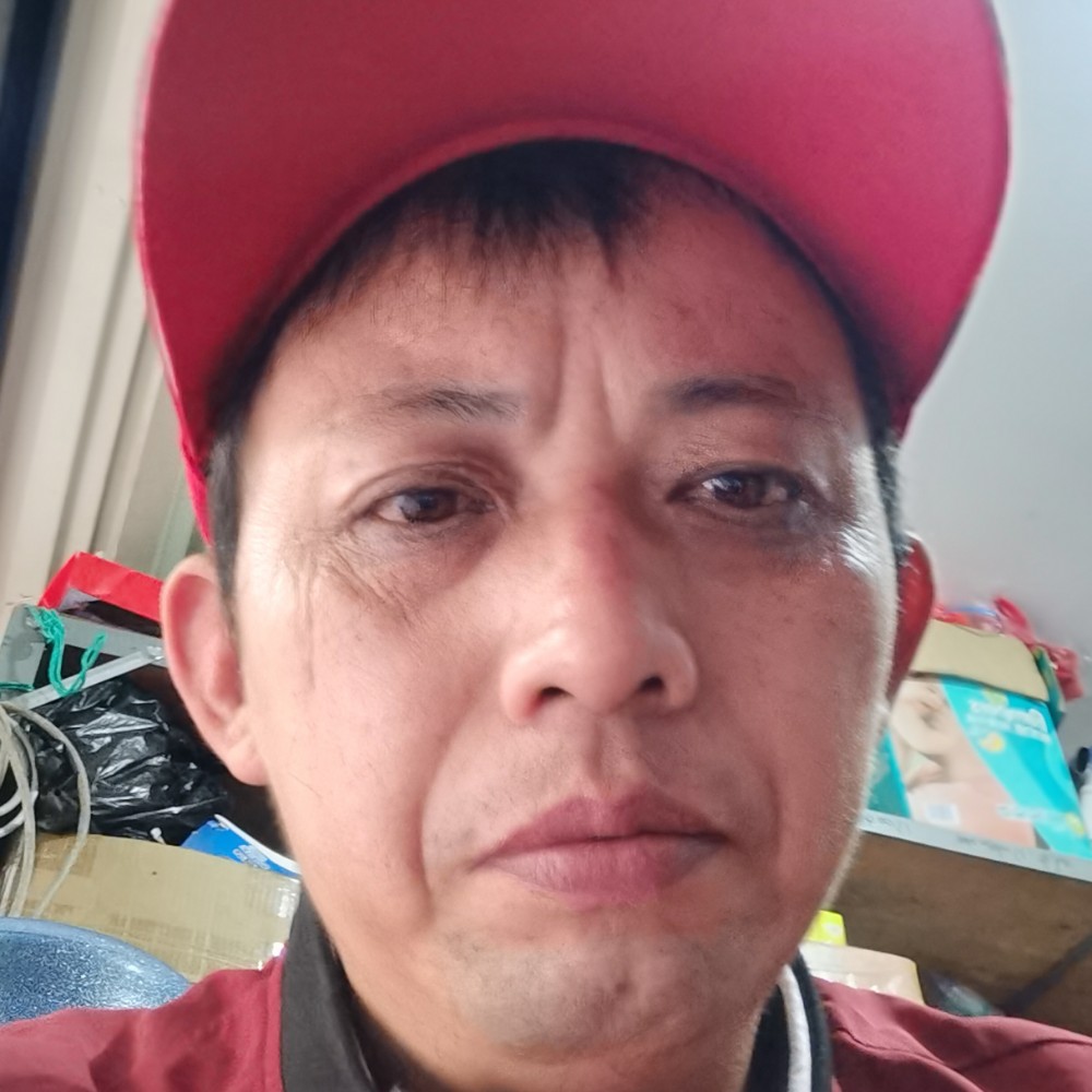 龙猫向美好的照片