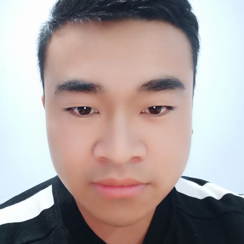 开心大树的照片