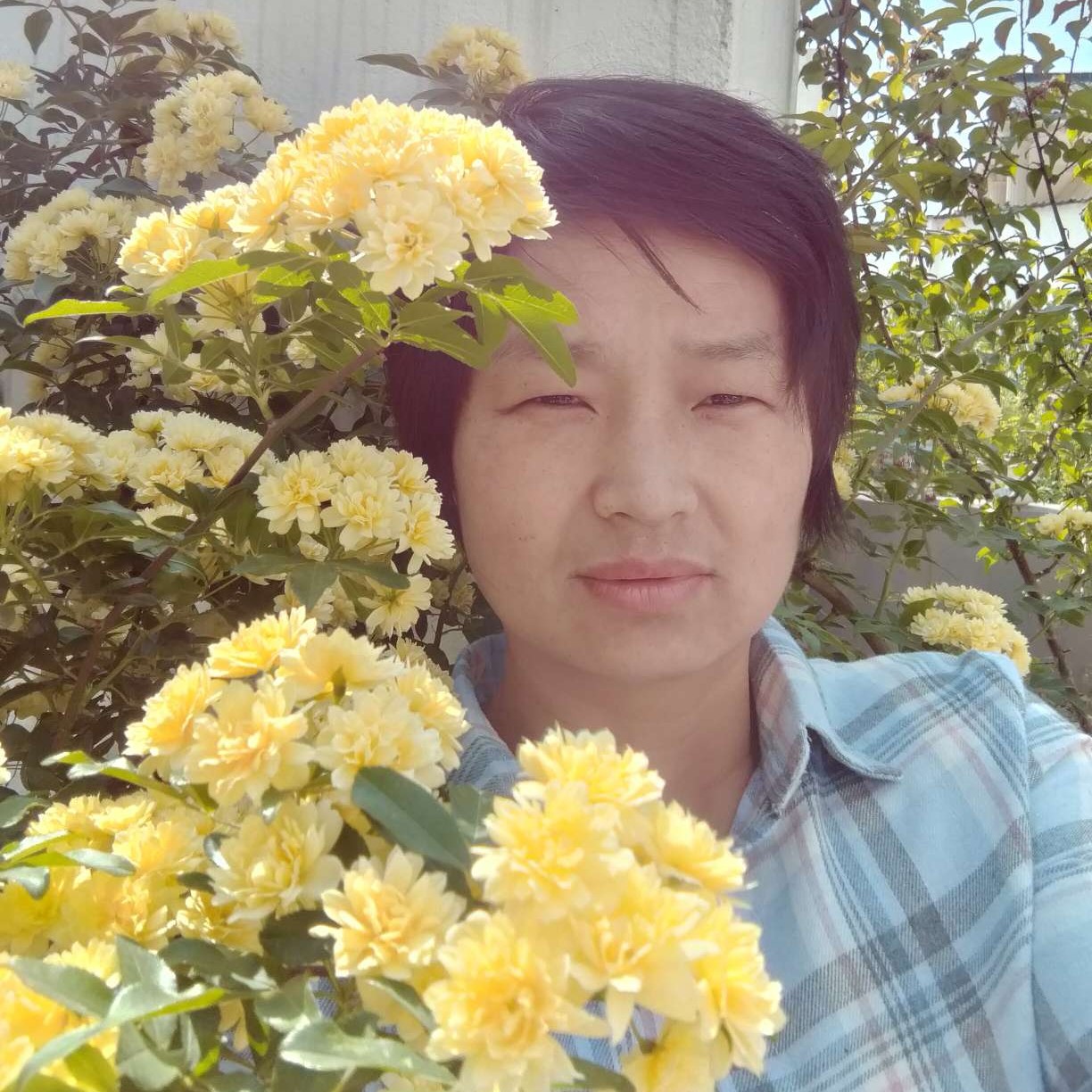 寂寞的静的照片