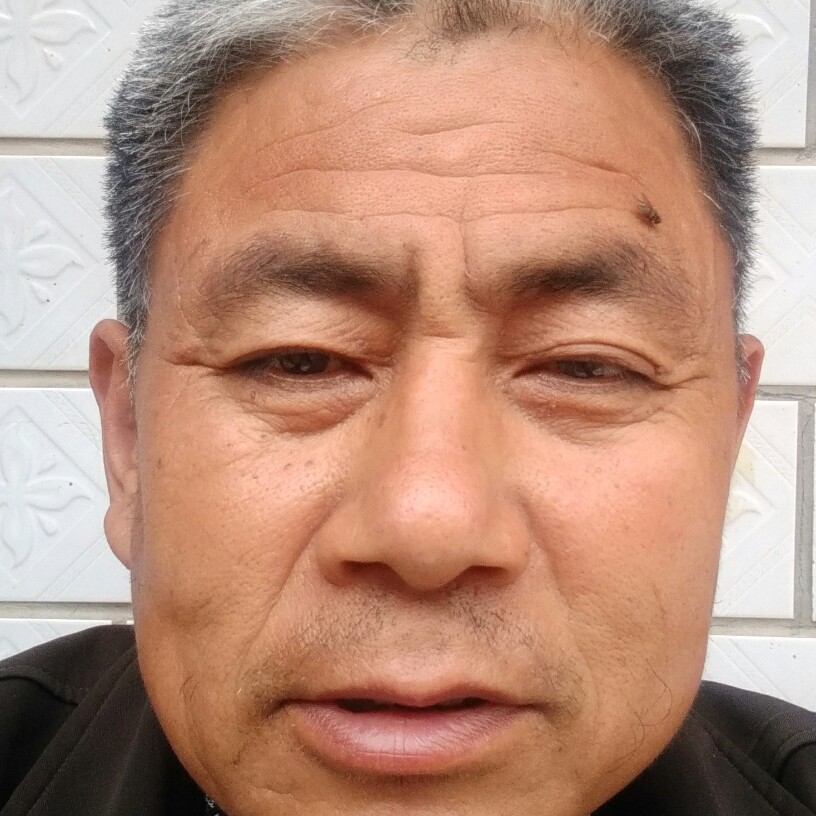 草丛激动的照片