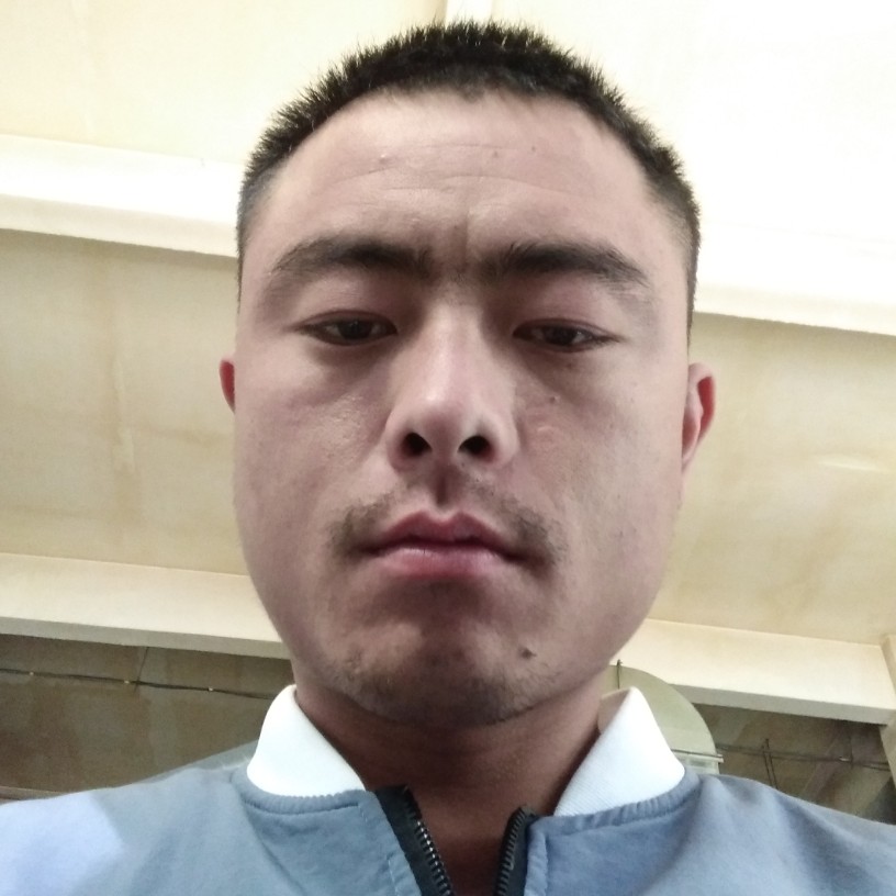 迷离演变向日葵的照片