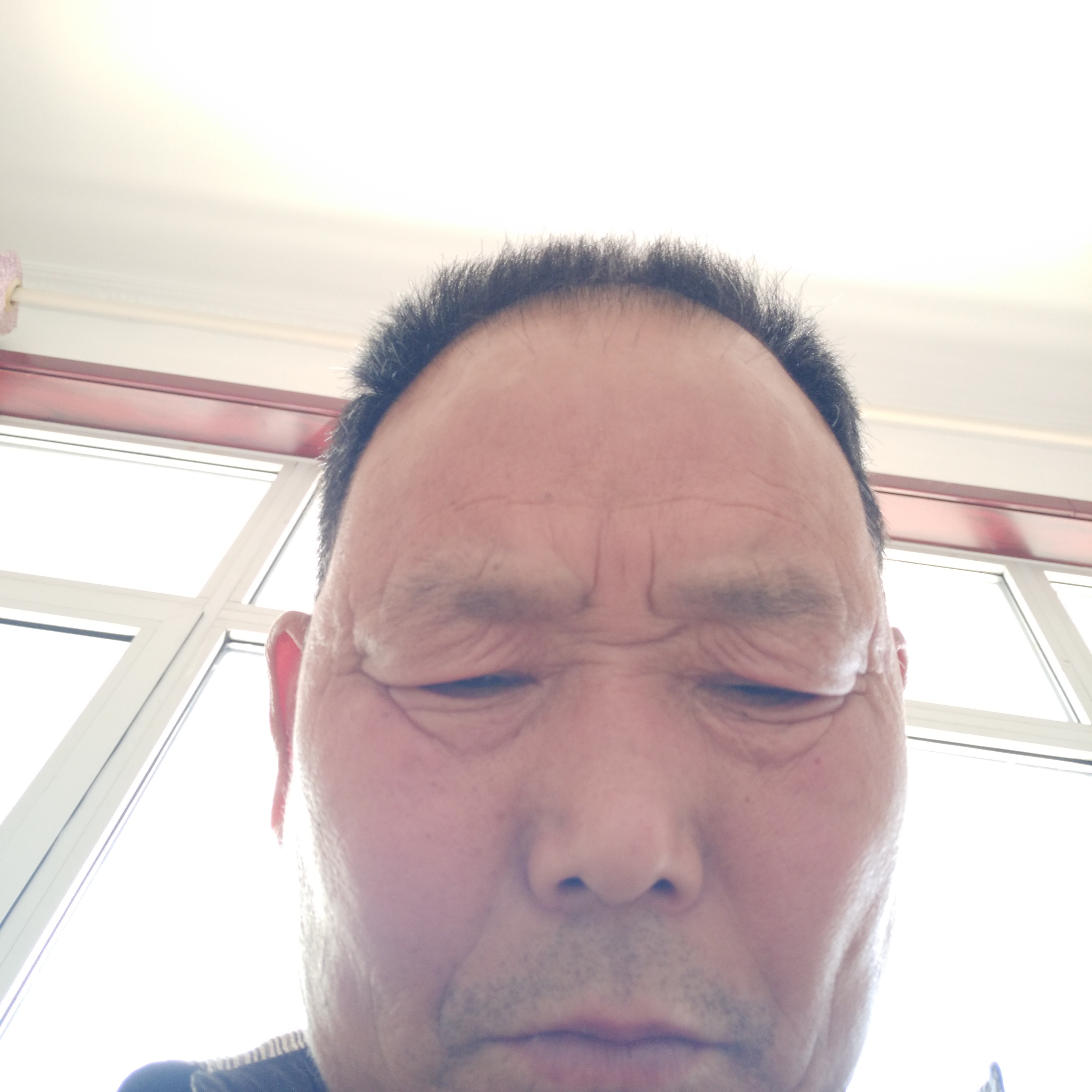 奇迹花开富贵复杂的照片