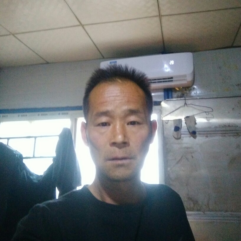 安静笑夏露的照片