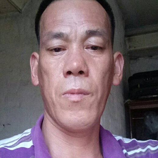 我们的回首过客的照片