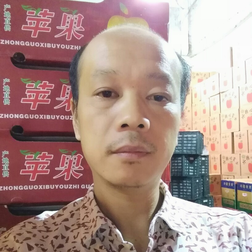 独特树叶的照片