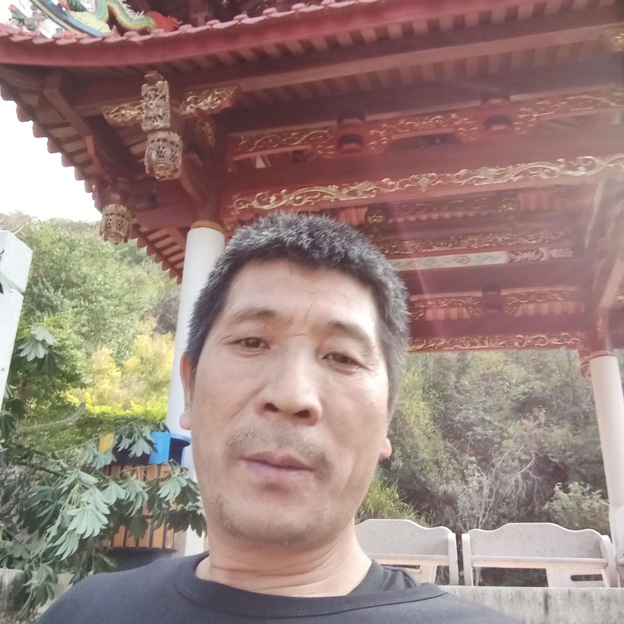 流浪大灰狼的照片