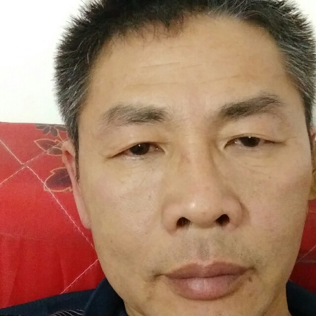 枫叶回首无私的照片