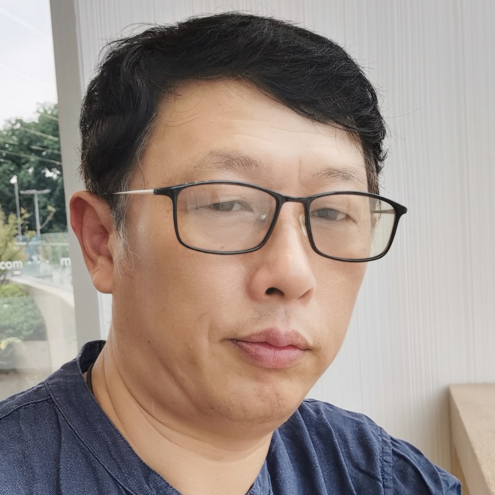 猫咪等待优雅的照片