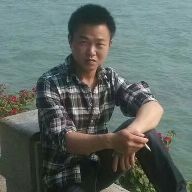 落叶的照片