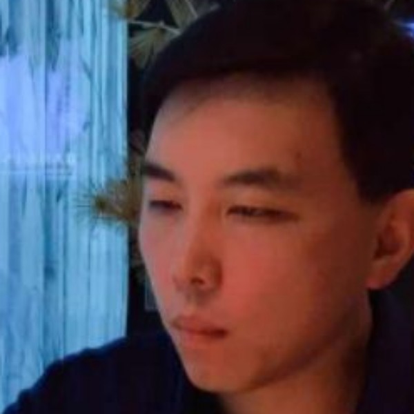 未来的飞鹰的照片