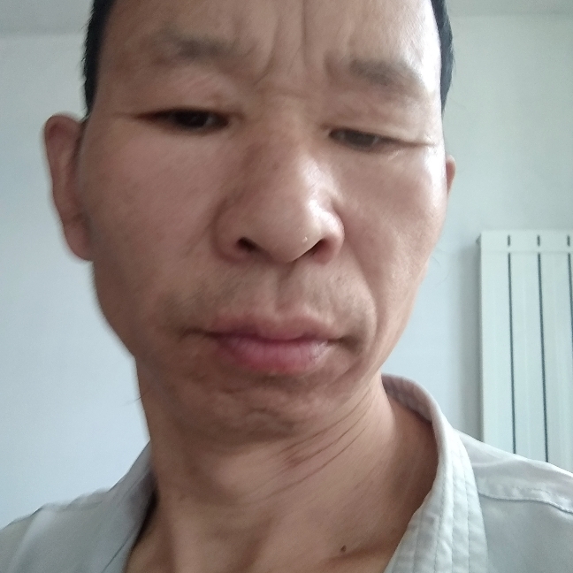 大象等待认真的照片