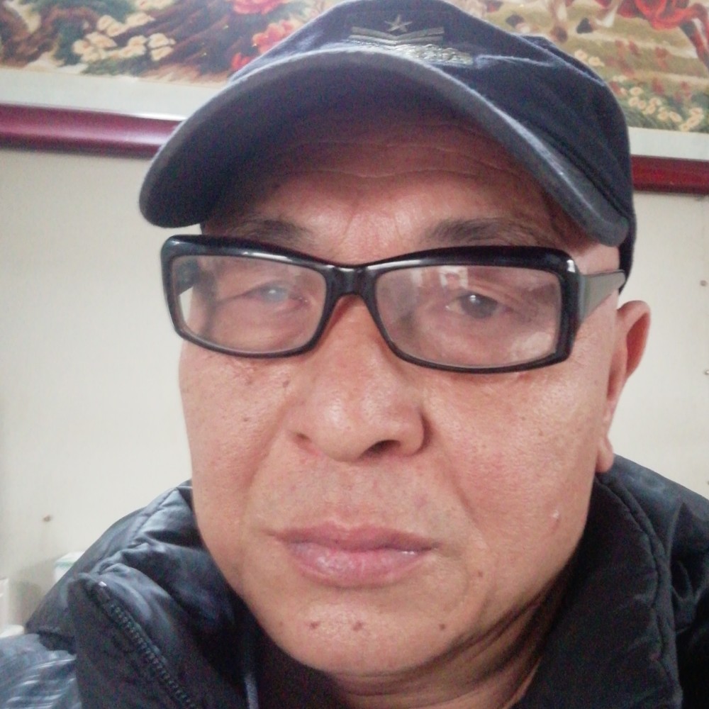 小海豚顺心的照片