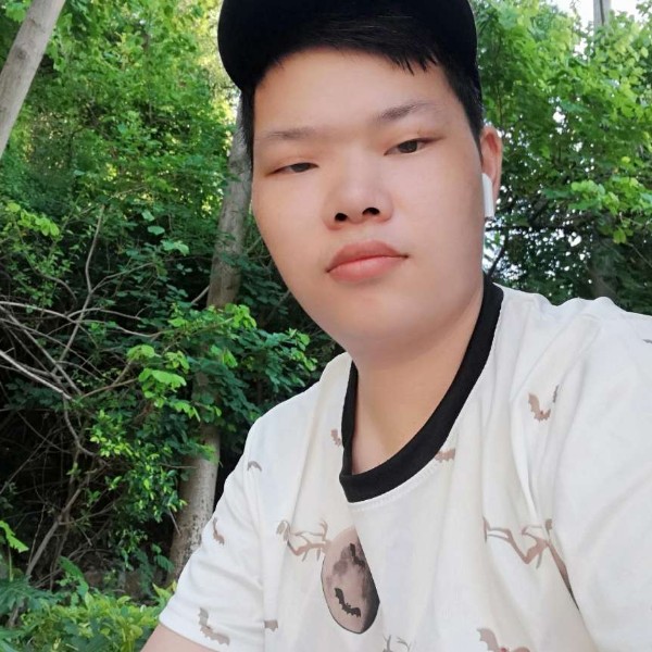 风中树叶的照片