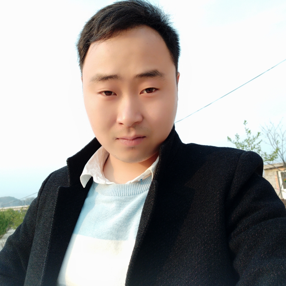 大象的美丽的照片