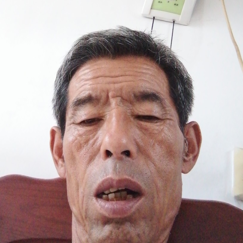 13685276的照片