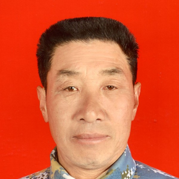 迅速和路灯的照片
