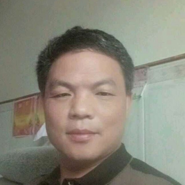 隐忍那大树的照片