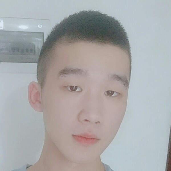刻苦蹙眉老鼠的照片