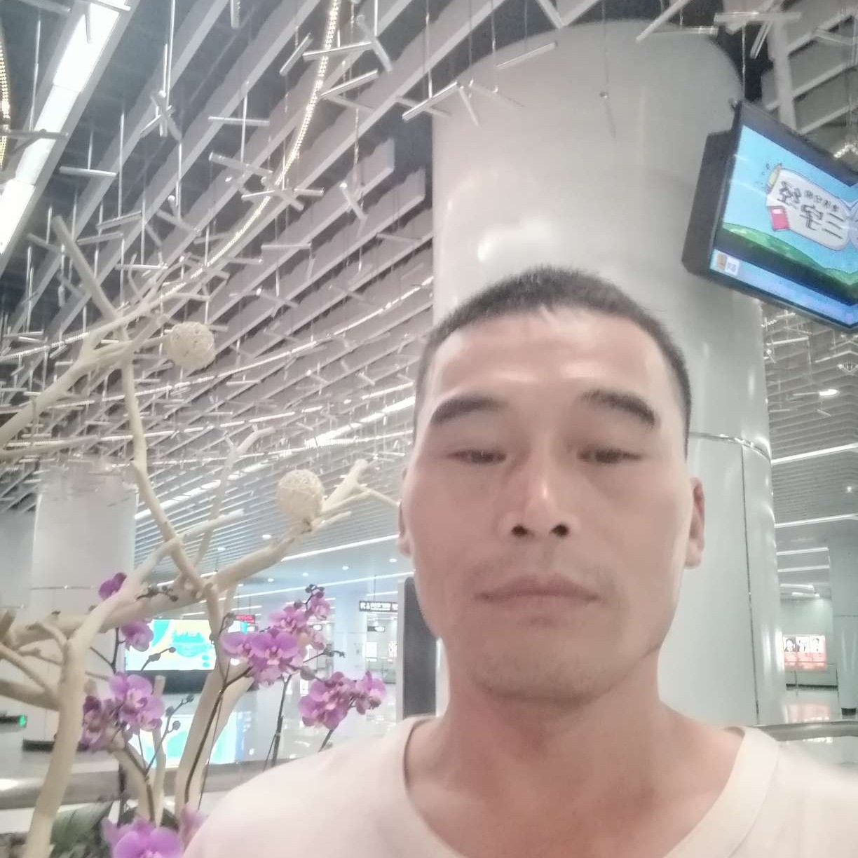 鸡相许大胆的照片